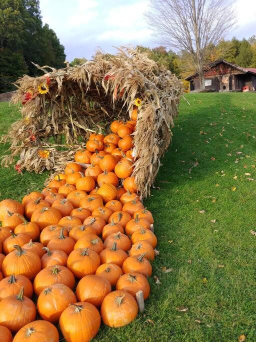 Spacious Country Retreat Close To Town And Nature, Sylvana Farm Vt مونبلييه المظهر الخارجي الصورة