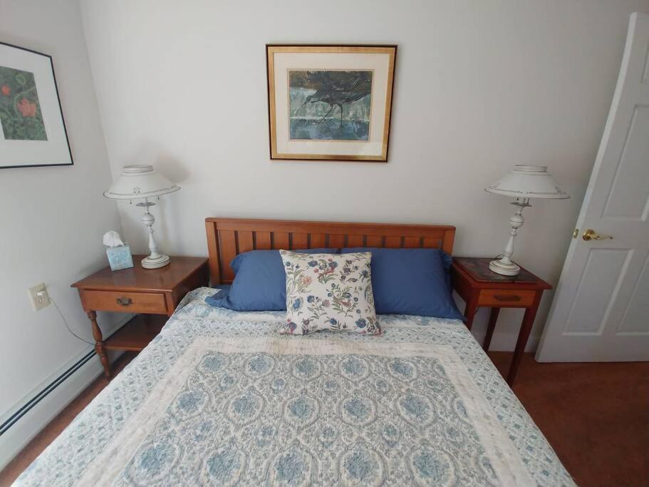 Spacious Country Retreat Close To Town And Nature, Sylvana Farm Vt مونبلييه المظهر الخارجي الصورة