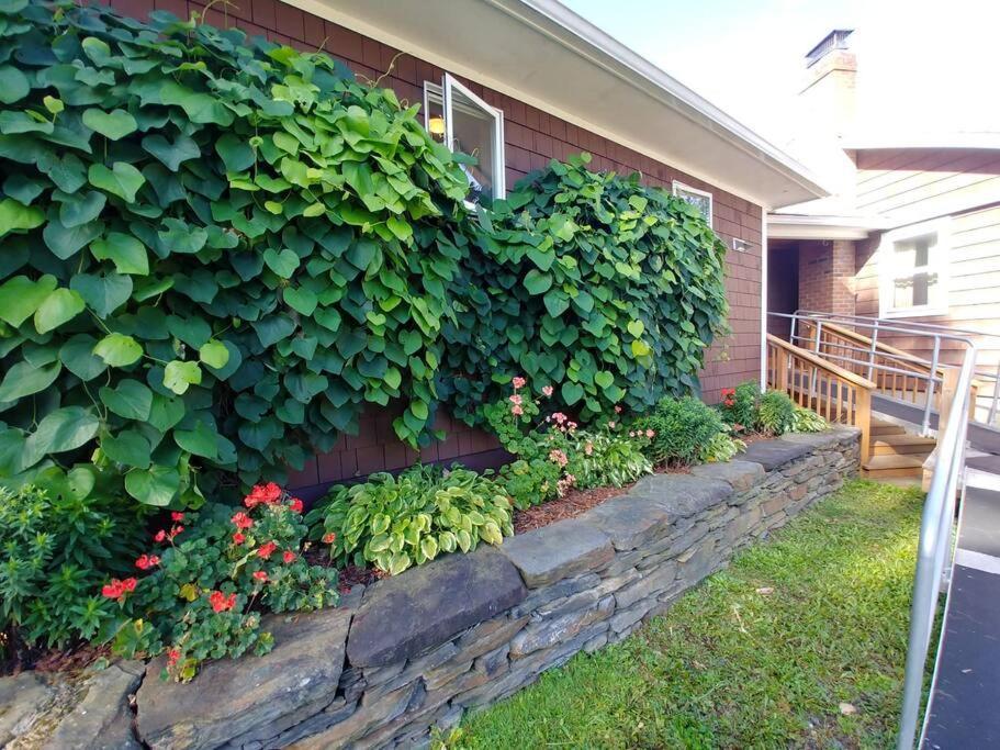 Spacious Country Retreat Close To Town And Nature, Sylvana Farm Vt مونبلييه المظهر الخارجي الصورة