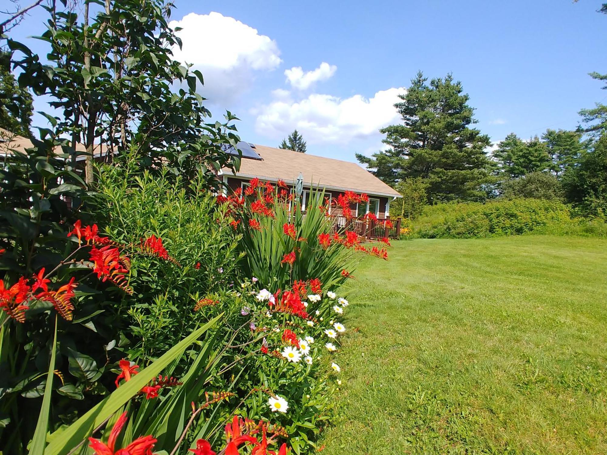 Spacious Country Retreat Close To Town And Nature, Sylvana Farm Vt مونبلييه المظهر الخارجي الصورة